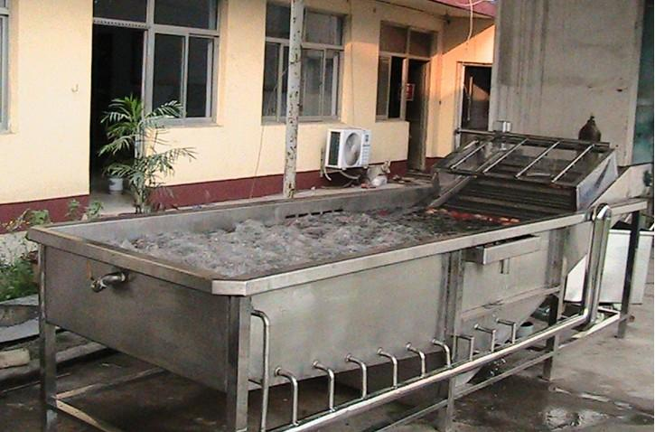 蔬菜清洗機(jī)的調(diào)整與維護(hù)?方法